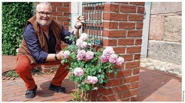 20230622 Rosen fuer das Neue Rathaus